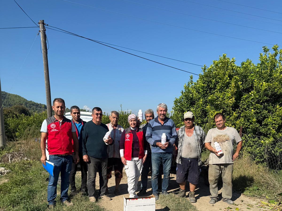 Muğla’nın Ortaca ilçesinde narenciye