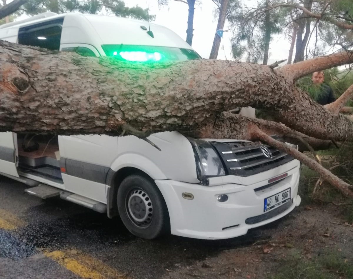 Muğla’nın Yatağan ilçesinde meydana