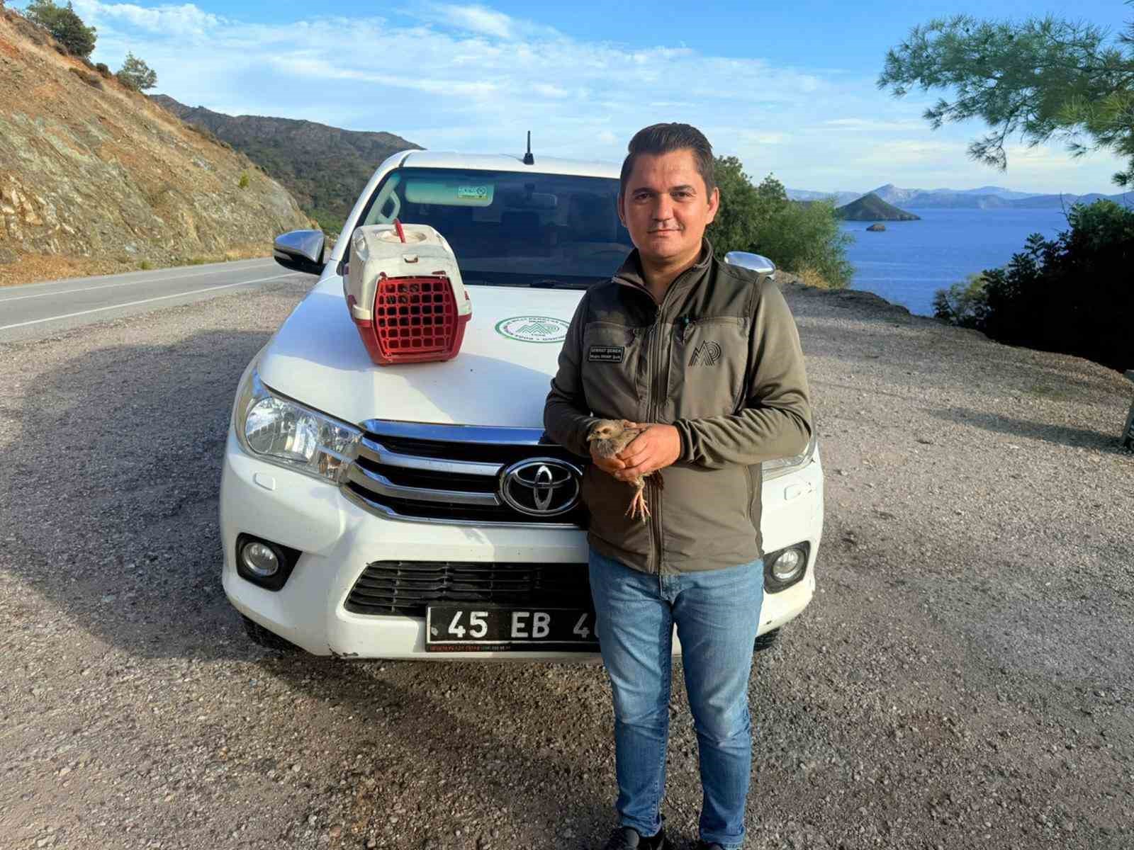 Muğla’nın Datça ilçesinde yasadışı