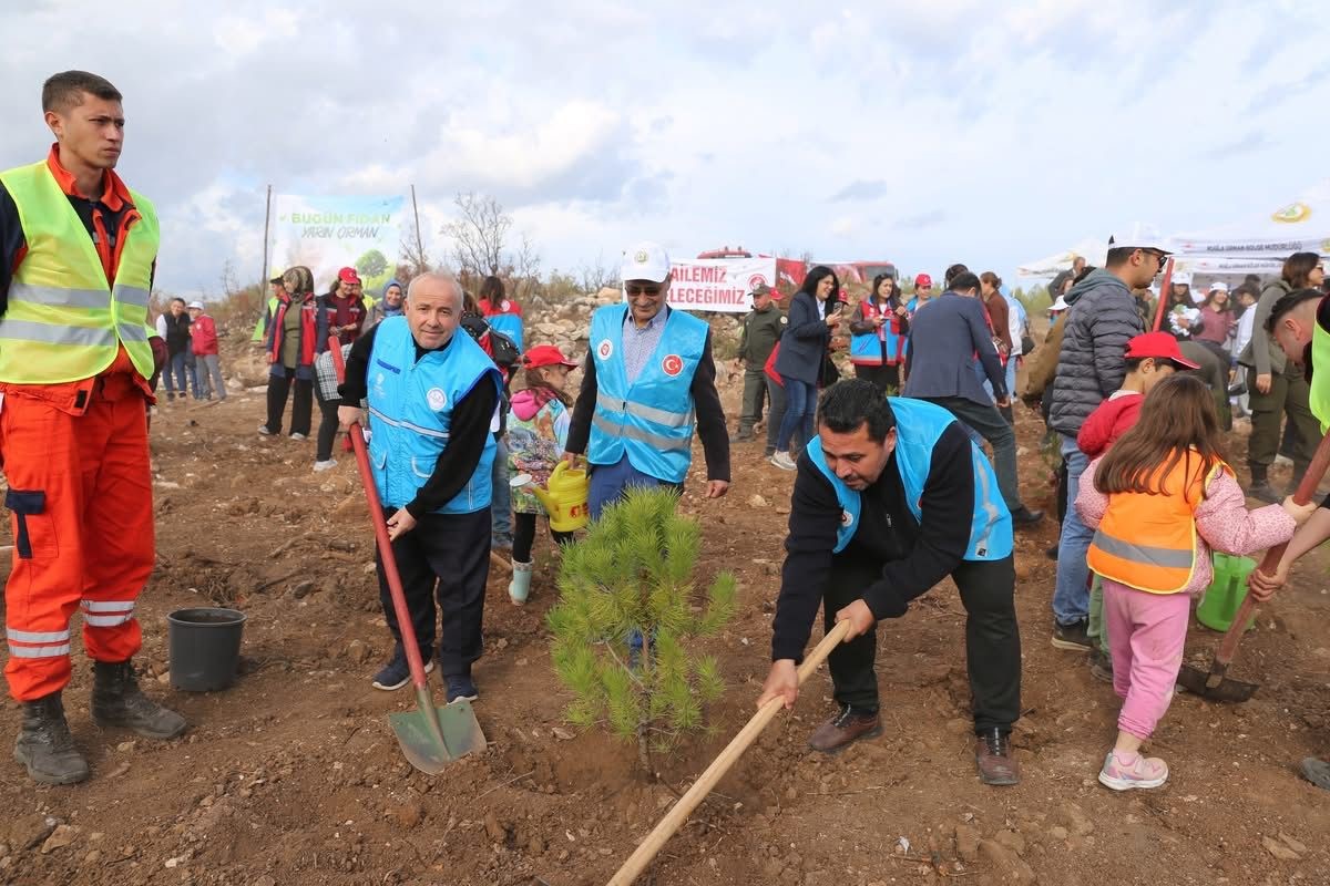 11 Kasım Milli Ağaçlandırma