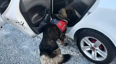 Muğla İl Jandarma Komutanlığı,