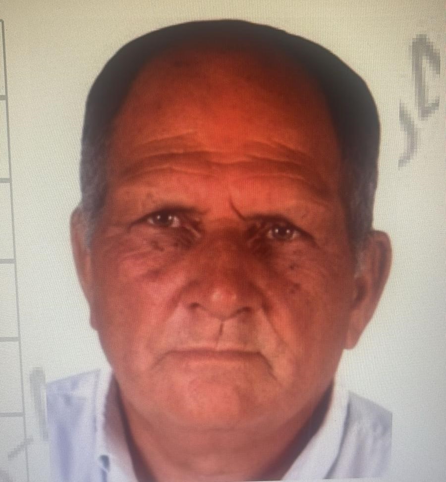 Muğla’nın Milas ilçesinde mantar toplamak