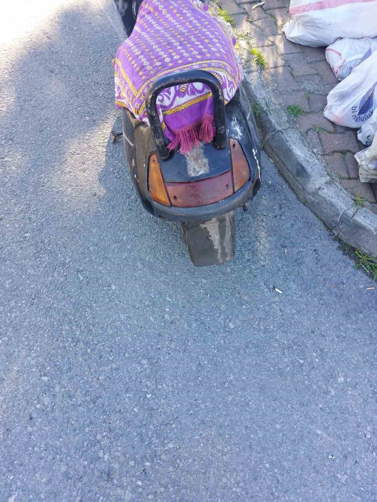 Muğla’nın Bodrum ilçesinde çeşitli