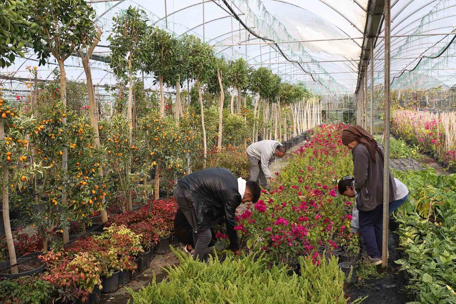 Muğla Büyükşehir Belediyesi tarafından