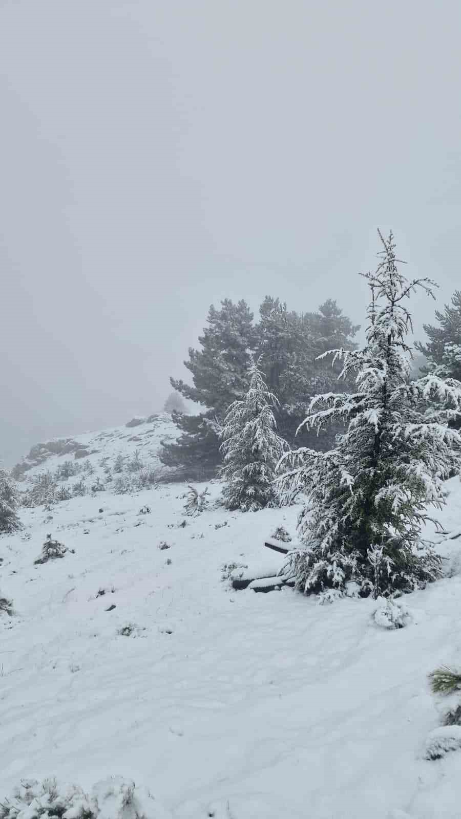 Muğla genelinde etkili olan