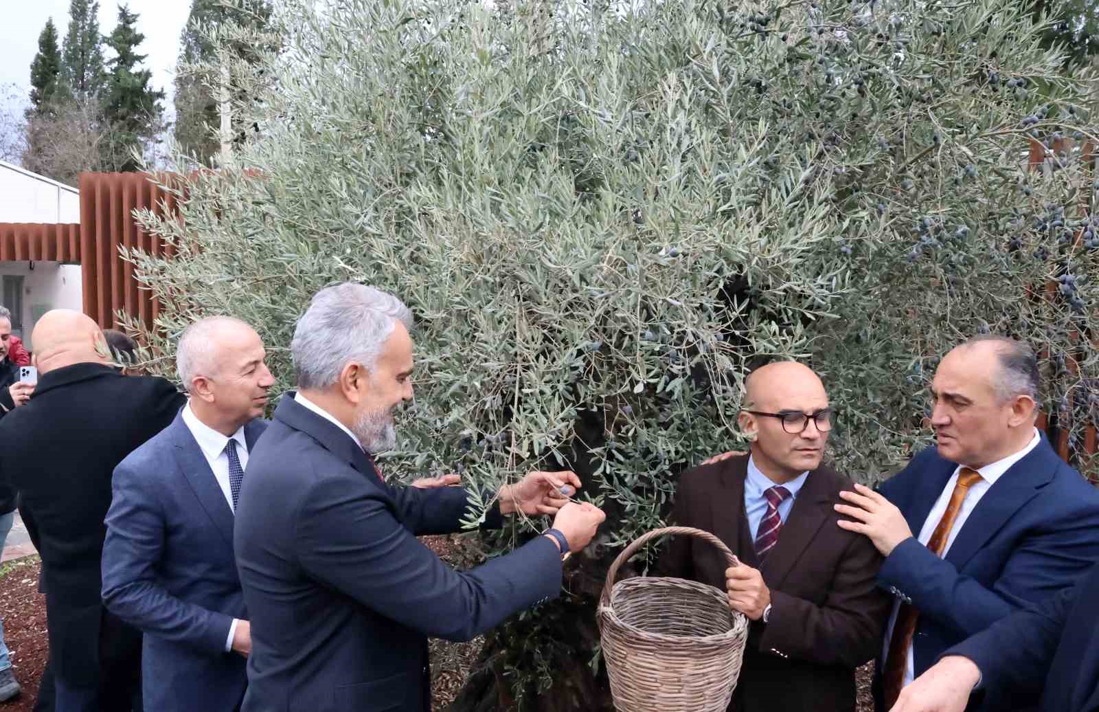 Muğla’nın Yatağan ilçesinde bulunan