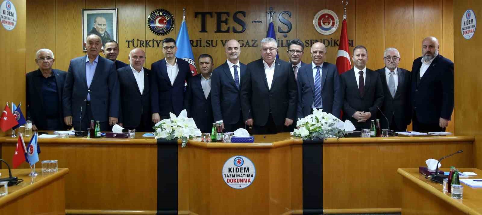 Yeniköy ve Kemerköy Termik