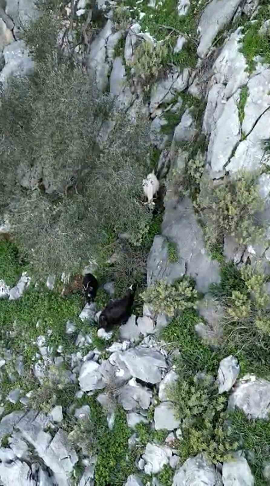 Muğla’nın Ula ilçesi Kıyra