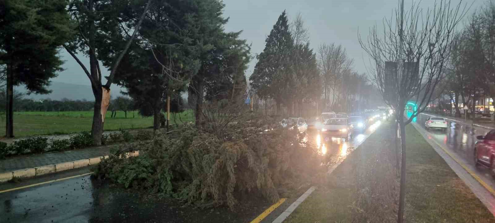 Muğla’nın Menteşe ilçesi Uğur