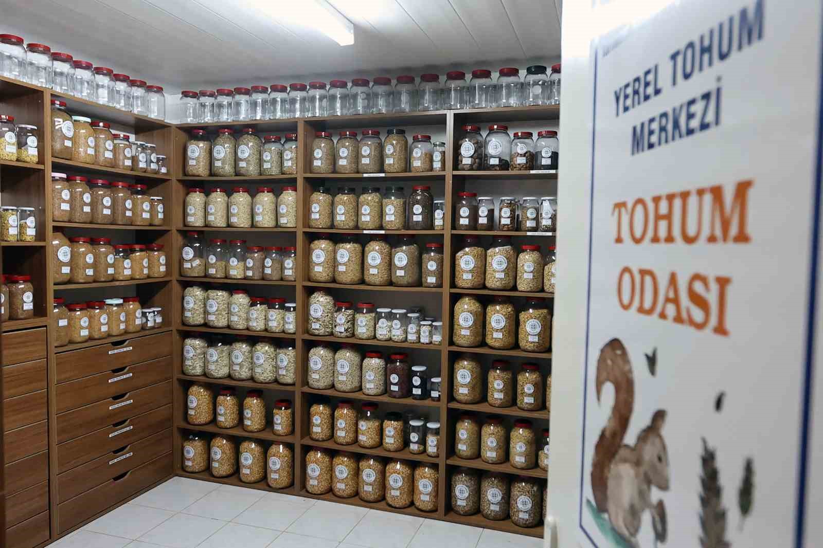 Muğla Büyükşehir Belediyesi, yerel