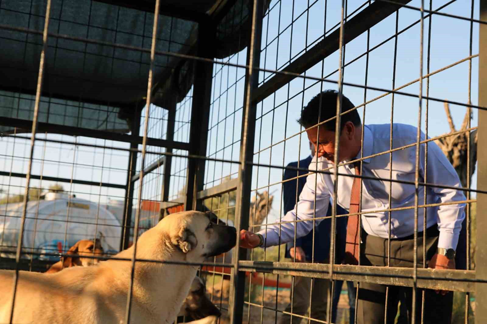 Türkiye’nin en donanımlı Hayvan