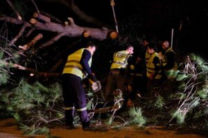 Bodrum Belediyesi fırtına dinlemedi