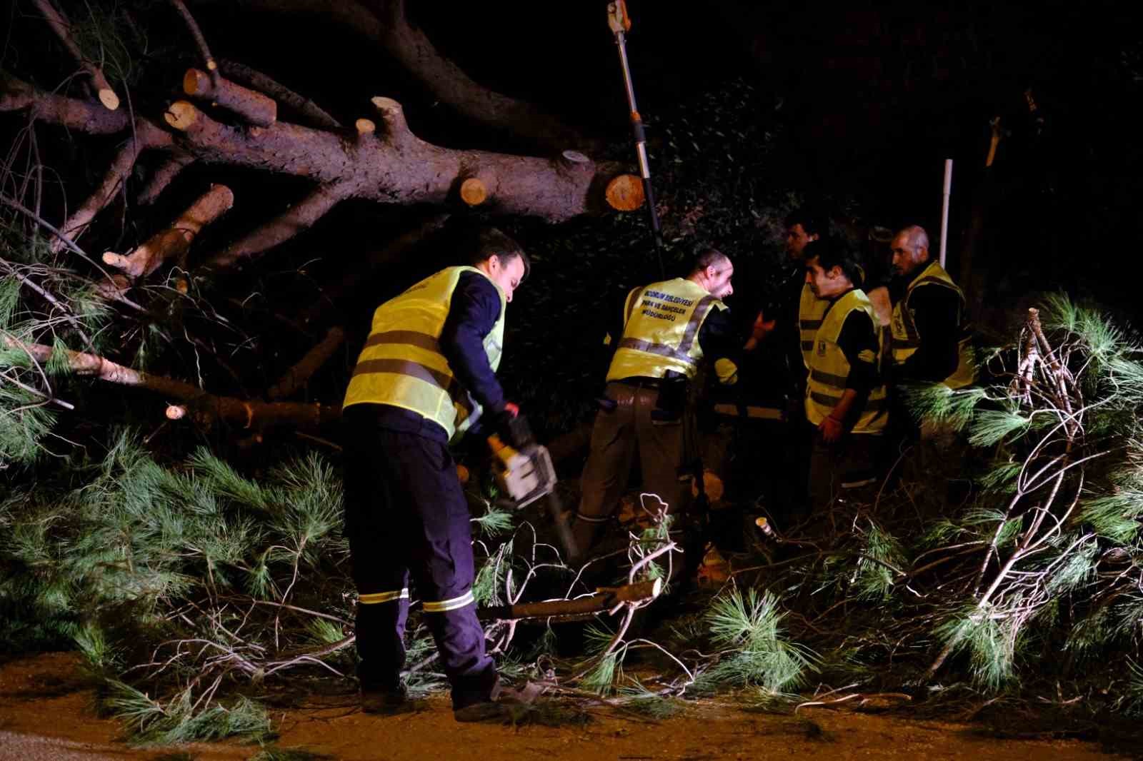 Bodrum Belediyesi Park ve Bahçeler