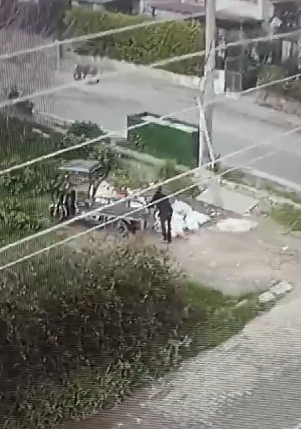 Muğla’nın Bodrum ilçesinde boş araziye