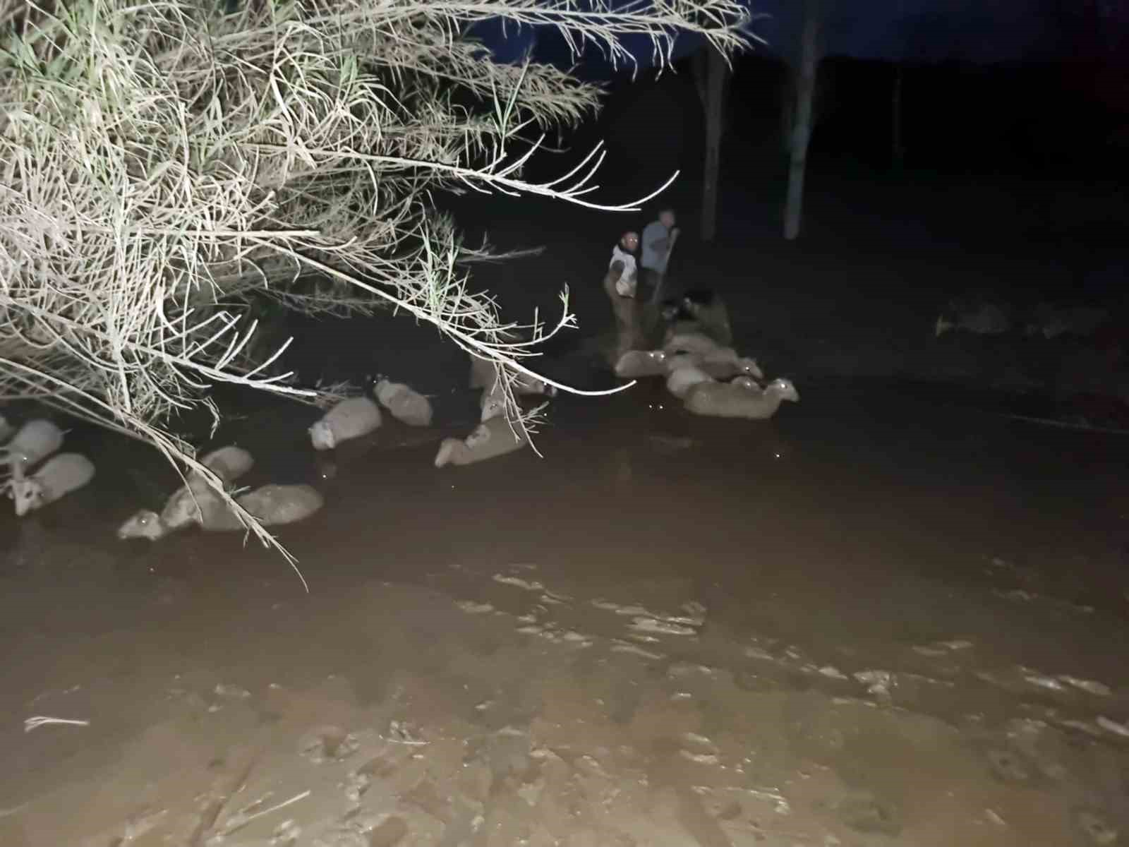 Muğla Büyükşehir Belediyesi İtfaiye