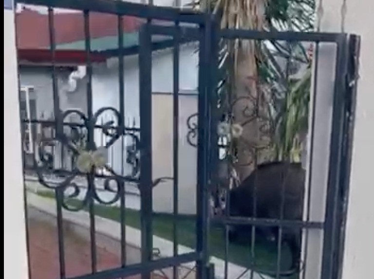 Muğla’nın Marmaris ilçesinde, şehir