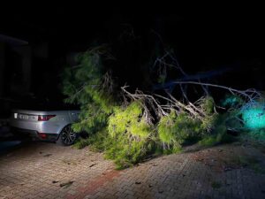 Marmaris’te fırtına ağaç devirdi: 1 kişi yaralandı