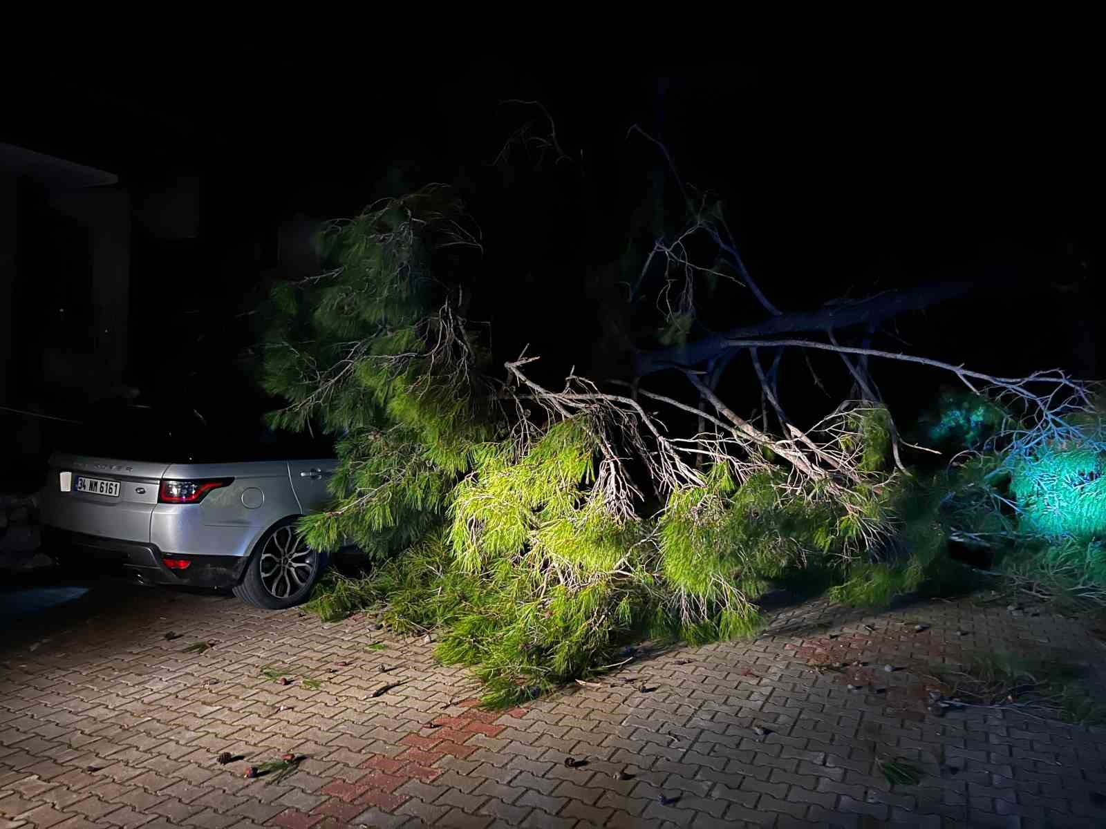 Muğla’nın Marmaris ilçesinde etkili olan