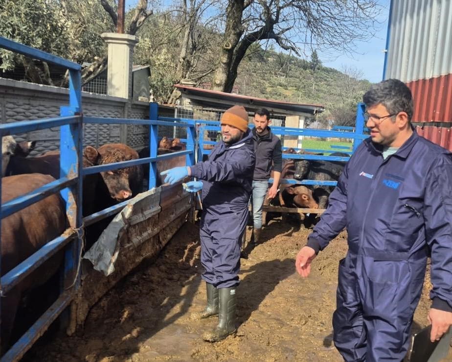 Menteşe İlçe Tarım ve