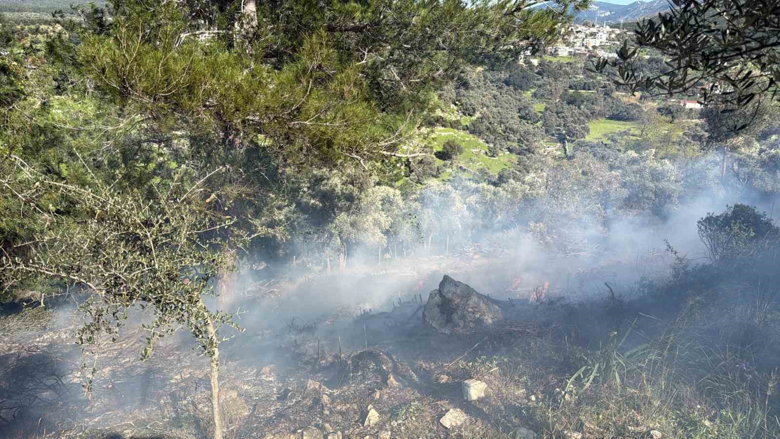 Muğla’nın Bodrum ilçesinde temizlik
