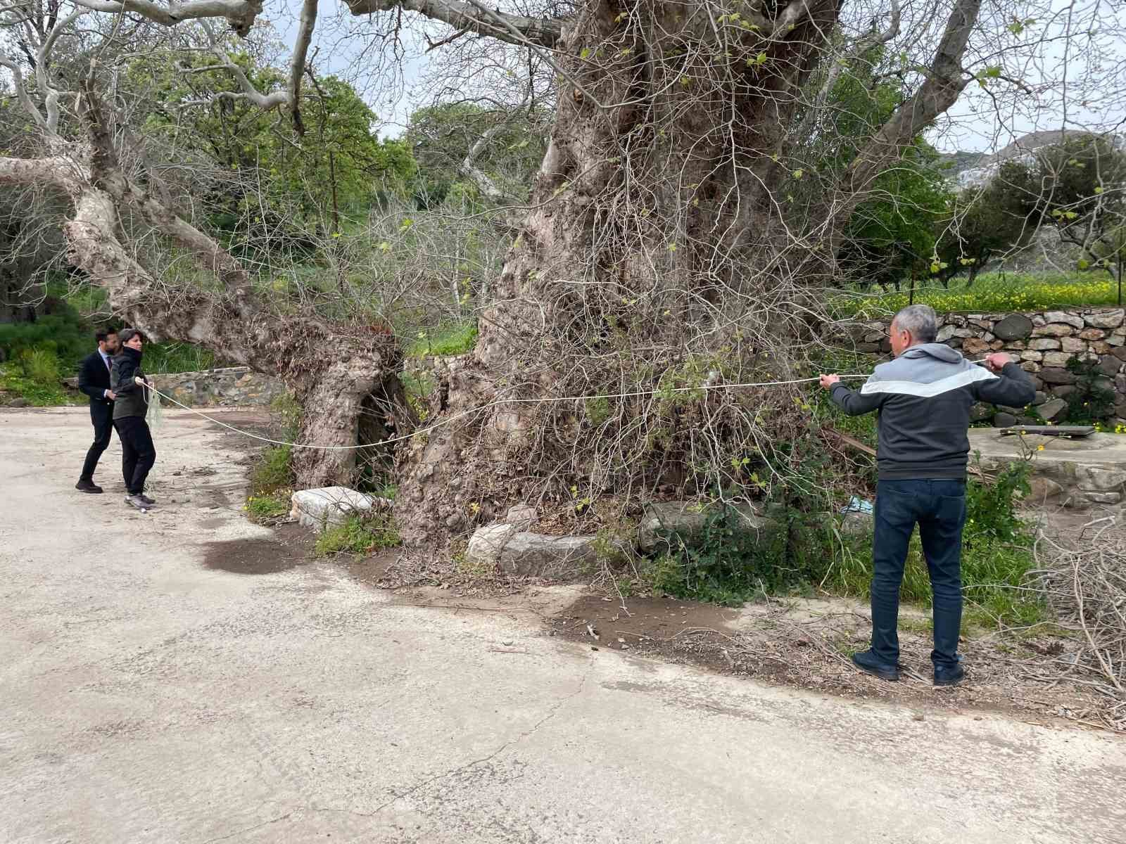 Muğla’nın Bodrum ilçesinde doğa