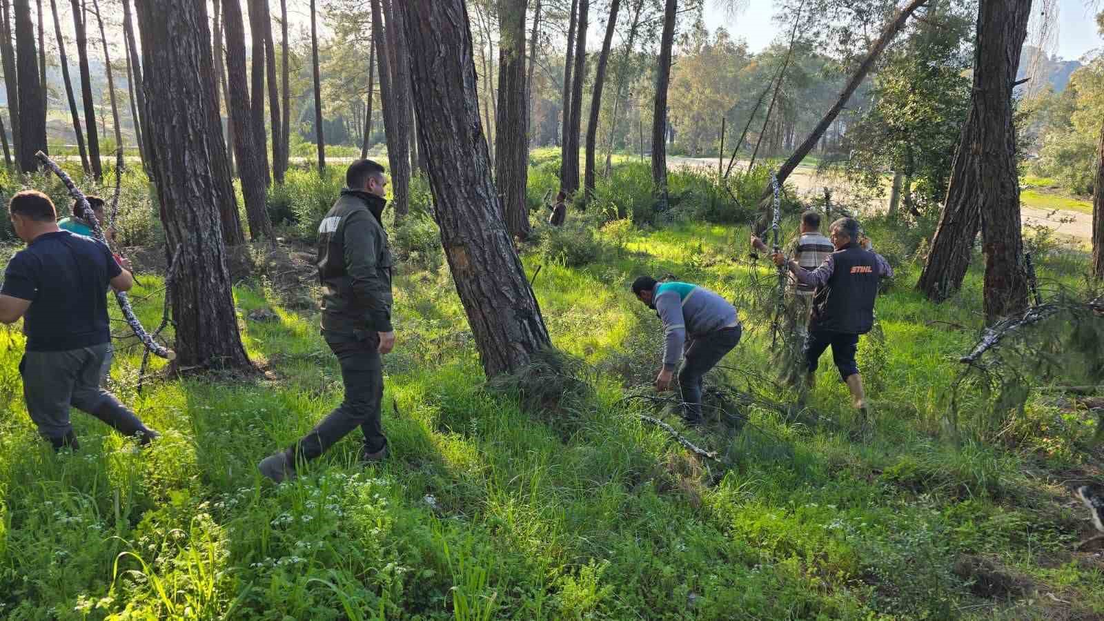 Muğla Sakar yolundan toplanan
