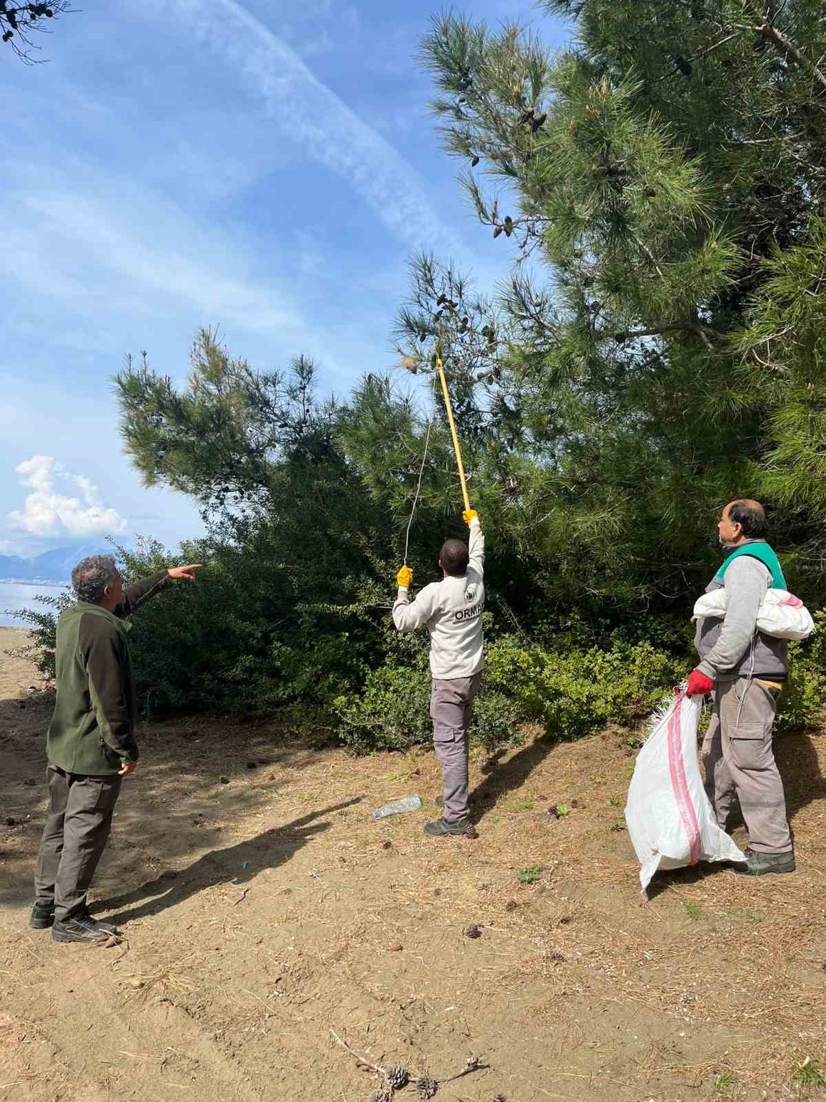 Muğla’nın Marmaris ilçesi Orman