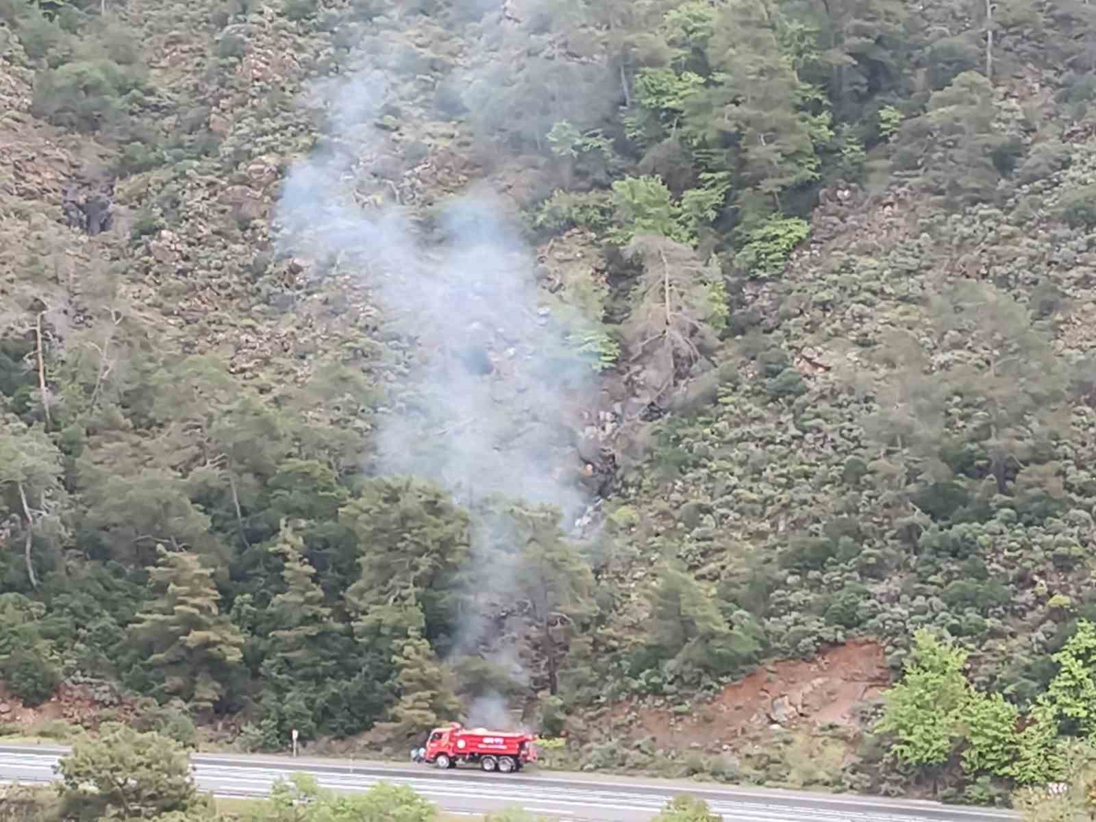 Muğla’nın Marmaris ilçesinde, Orman