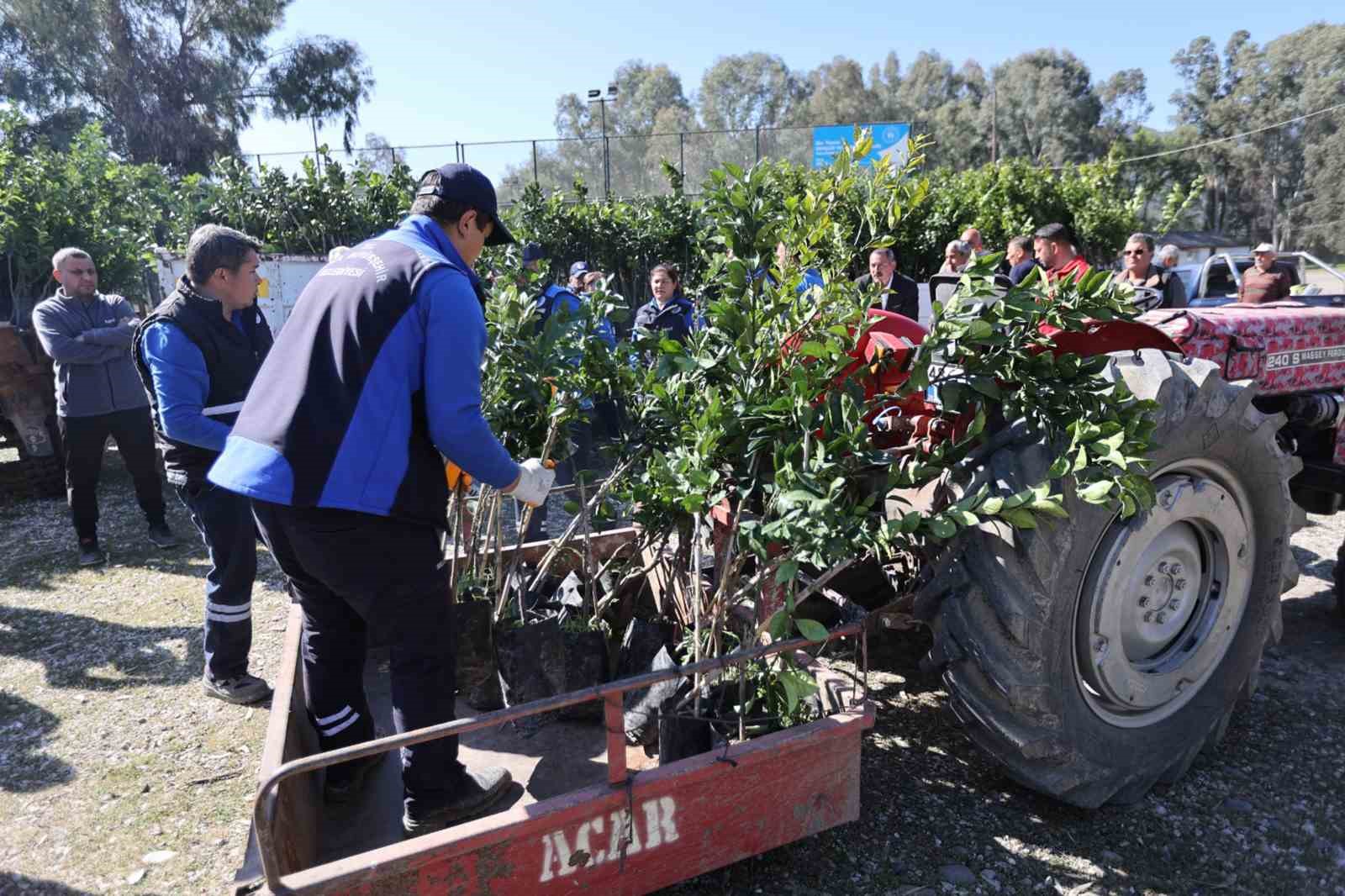 Muğla Büyükşehir Belediyesi, Köyceğiz’de