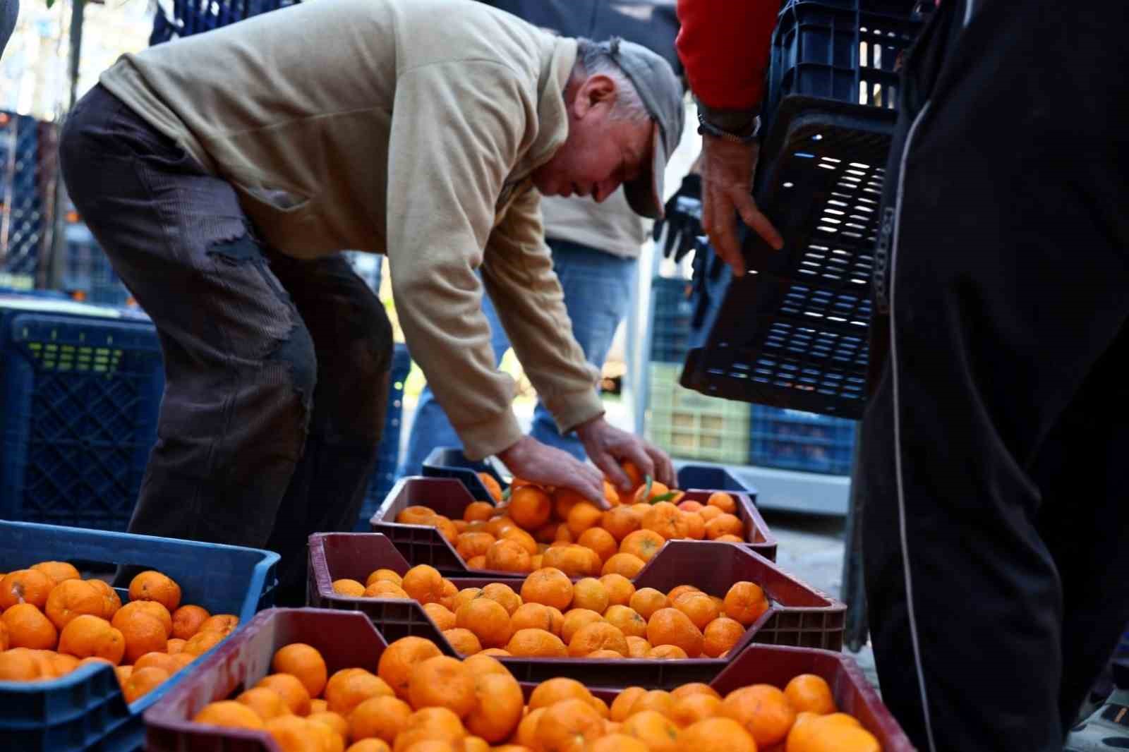 Bodrum Belediyesi, yerel üretimi destekleme