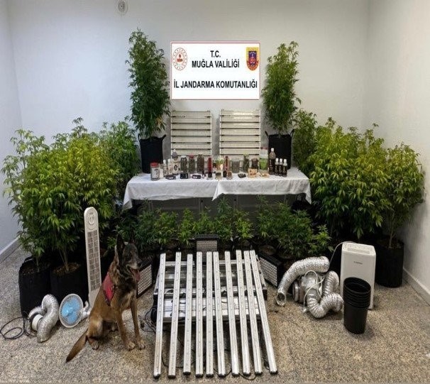 Muğla İl Jandarma Komutanlığı, Mart