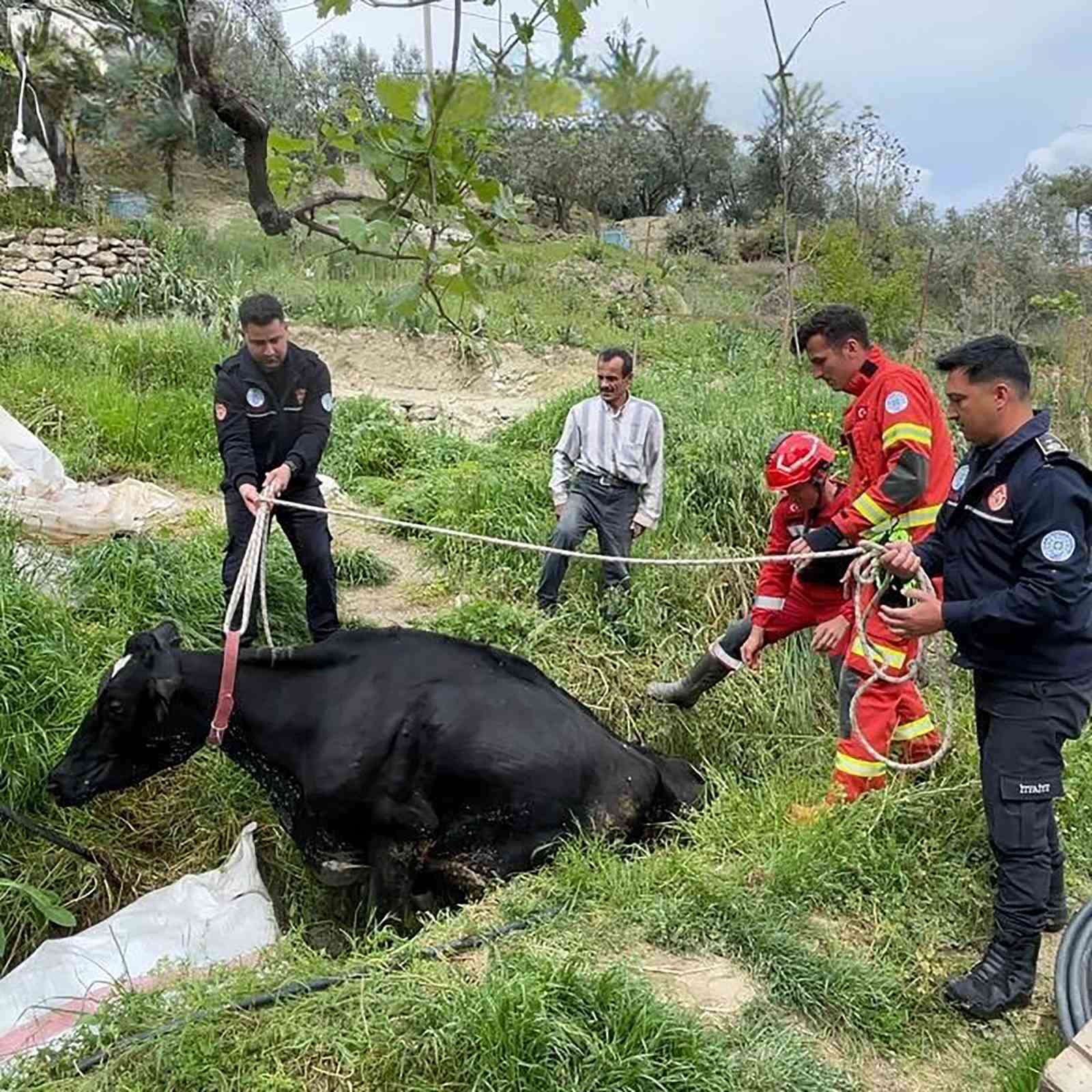 Muğla’nın Seydikemer ilçesine bağlı Seydiler