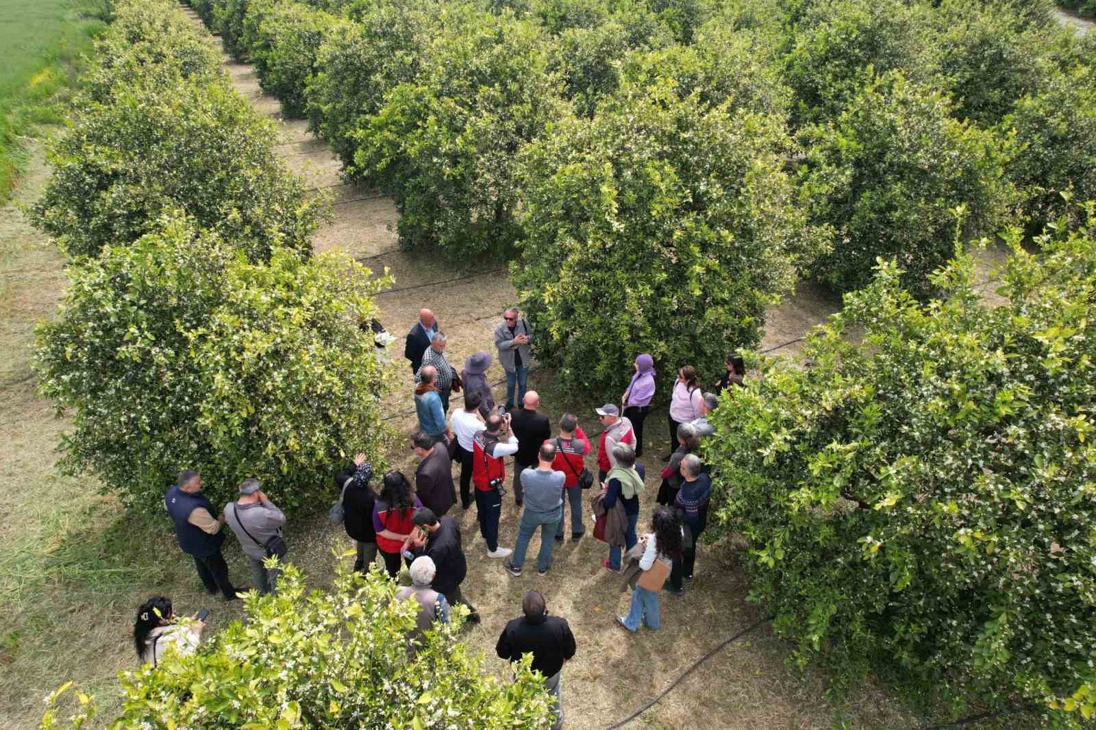 Tarım ve Orman Bakanlığı