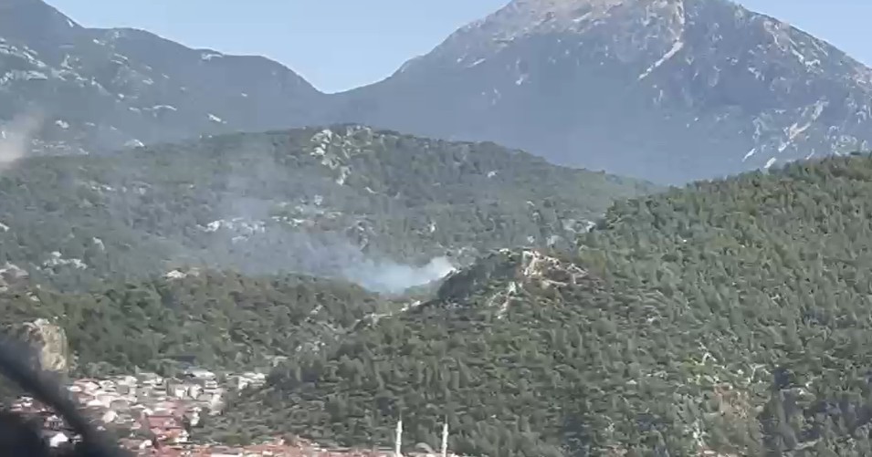 Muğla’nın Fethiye ilçesinde ormanlık
