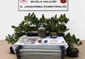Jandarmadan uyuşturucuya geçit yok
