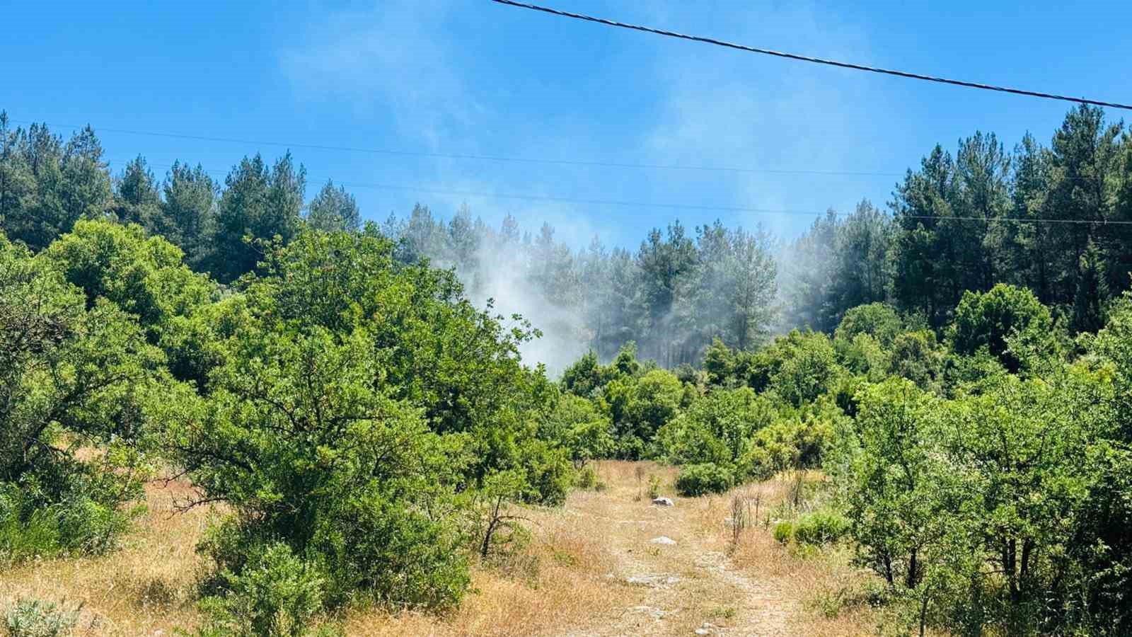 Muğla’nın Menteşe ilçesine bağlı kırsal