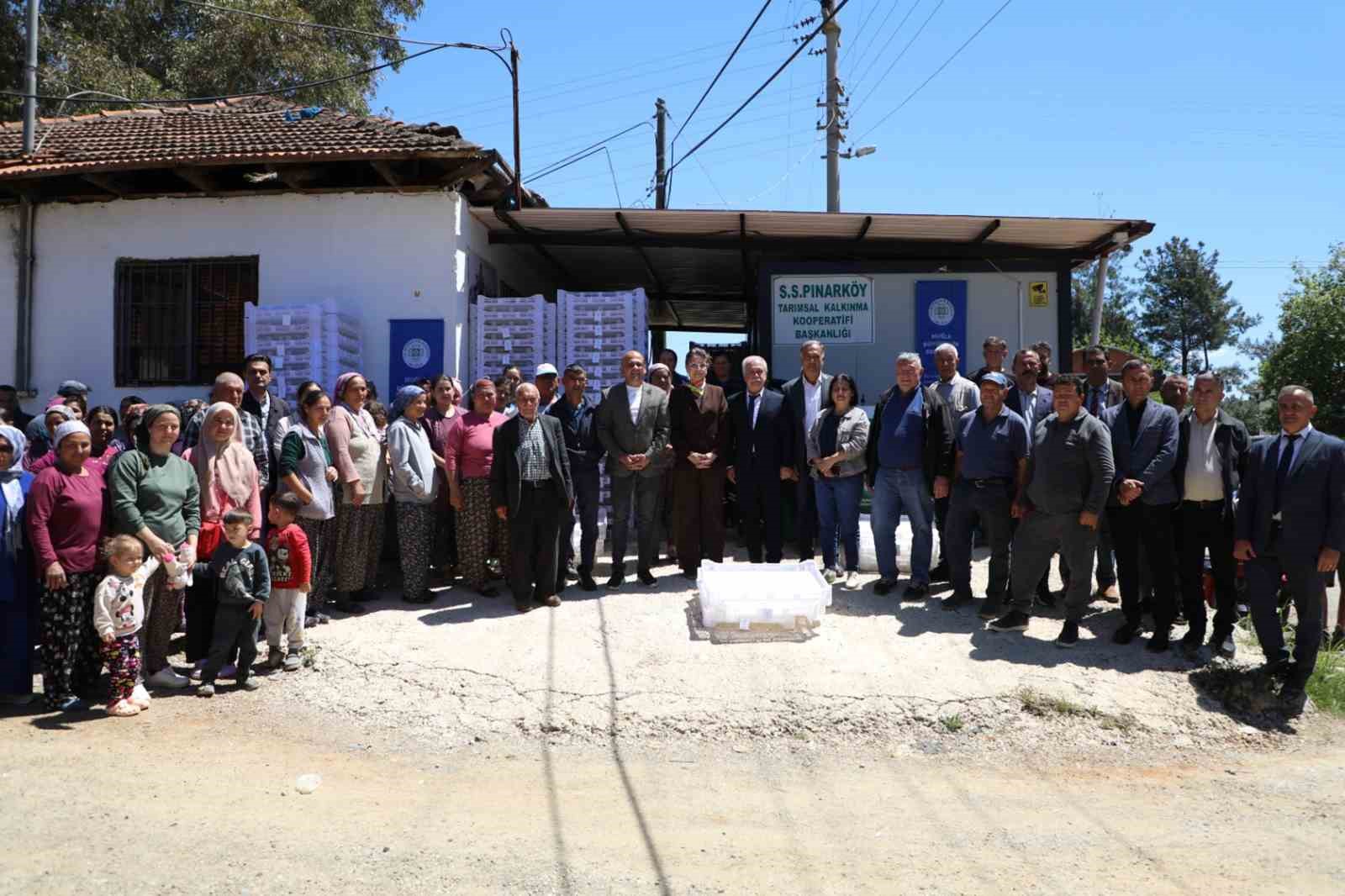Köyceğiz ilçesine bağlı Pınarköy, Sazak,