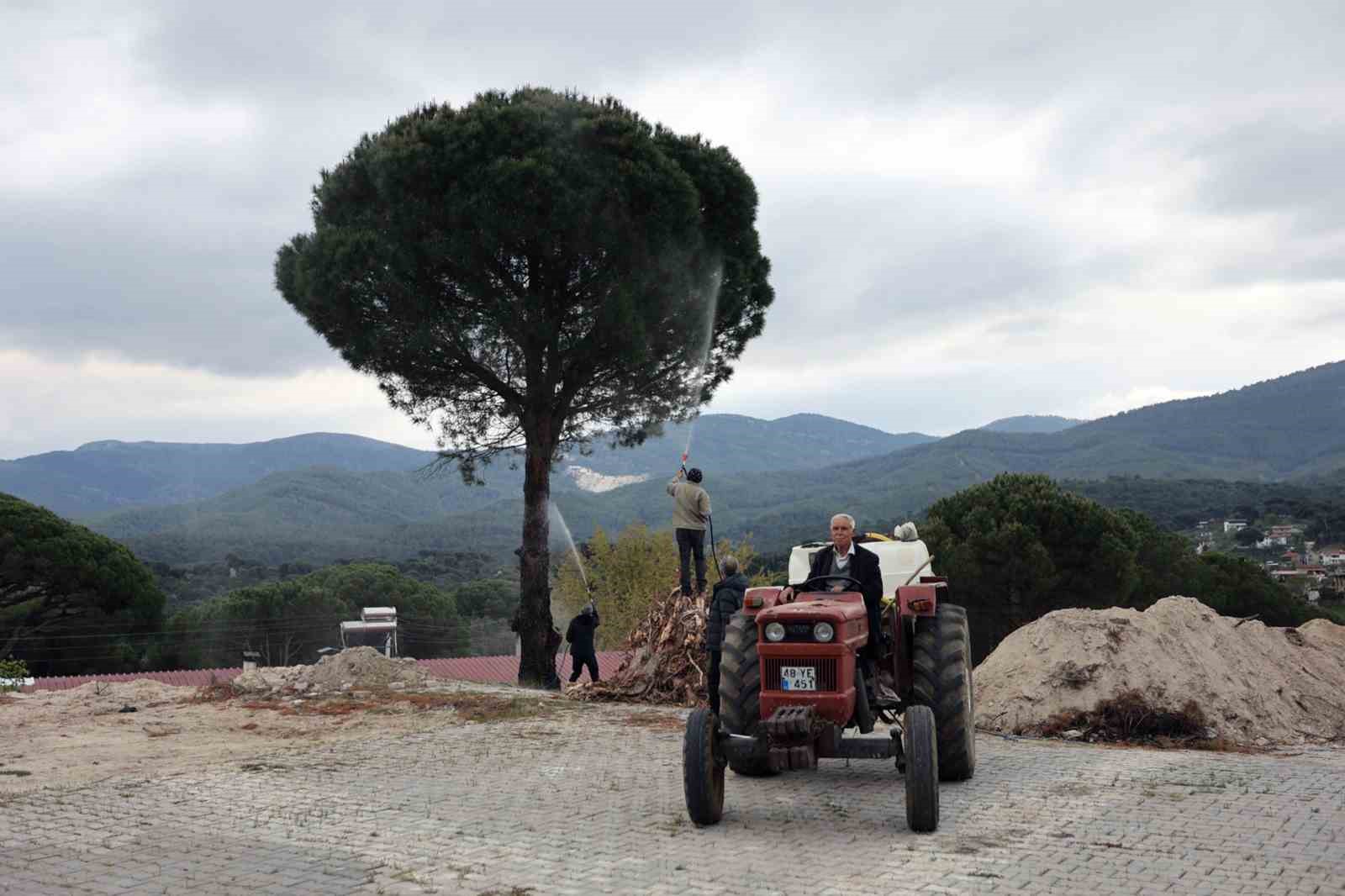 Muğla Büyükşehir Belediyesi, Yatağan ilçesi