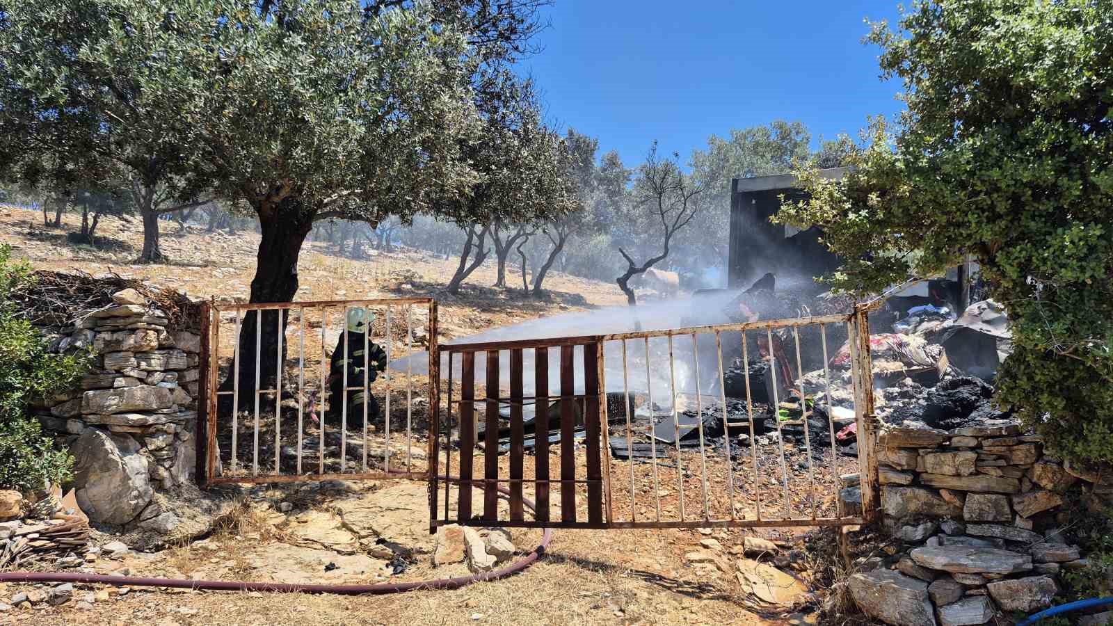 Muğla’nın Bodrum ilçesinde yaşlı bir
