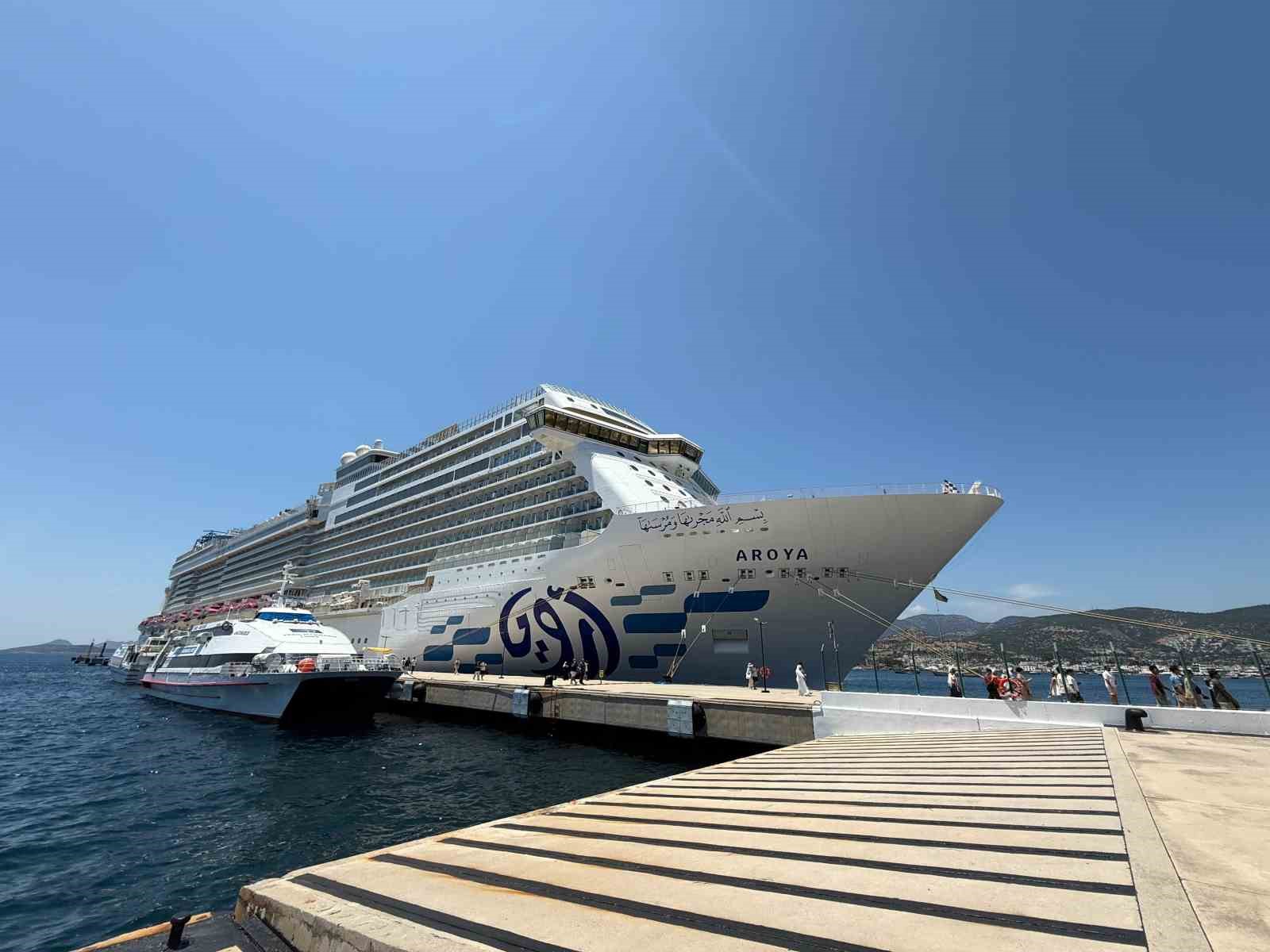 Muğla’nın Bodrum ilçesine gelen Aroya
