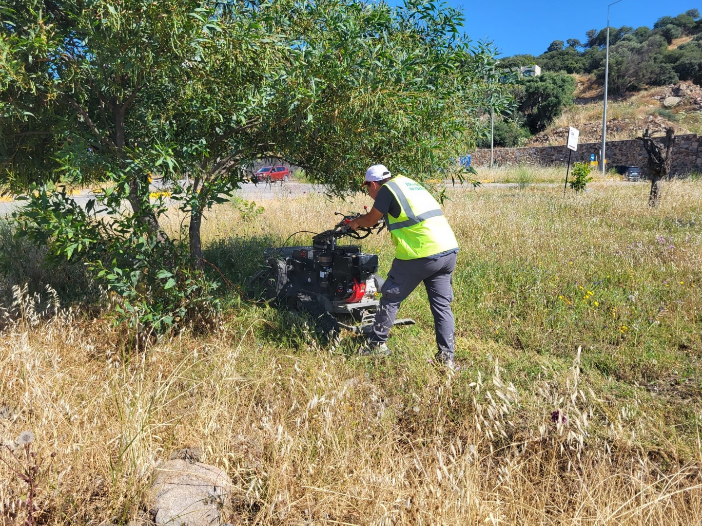 Bodrum Belediyesi Park ve Bahçeler