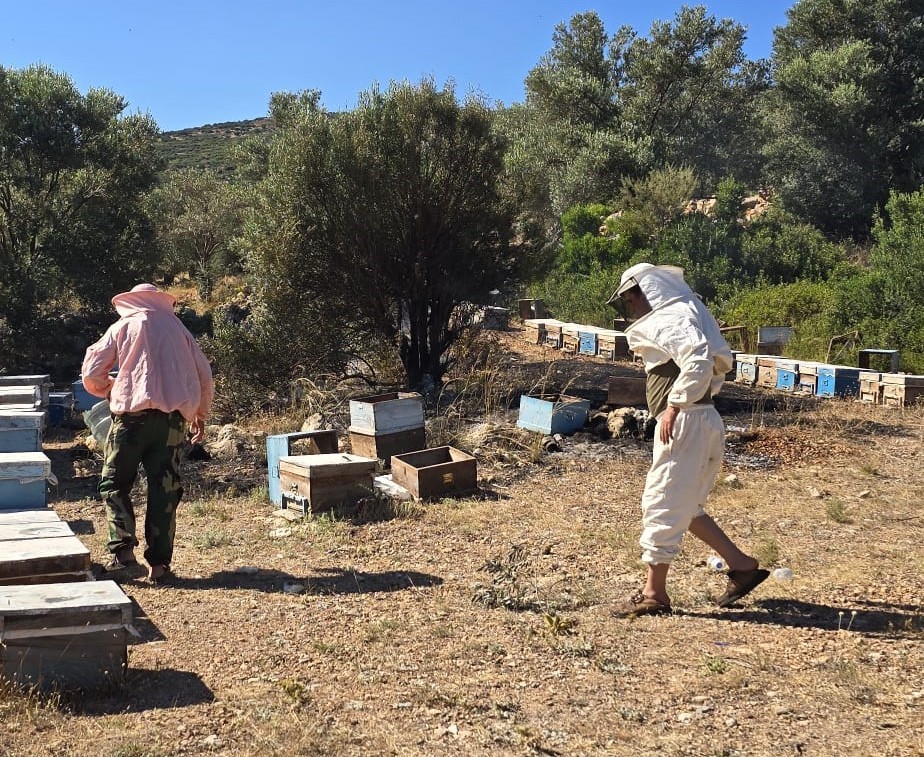 Muğla’nın Datça ilçesinde arıcıların konaklama