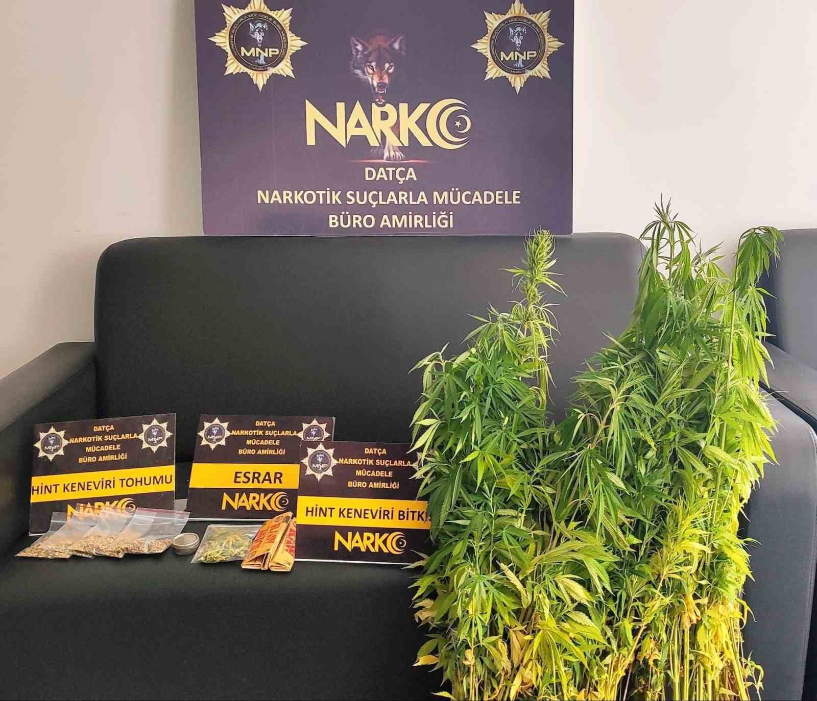 Muğla’nın Datça ilçesinde narkotik ekipleri