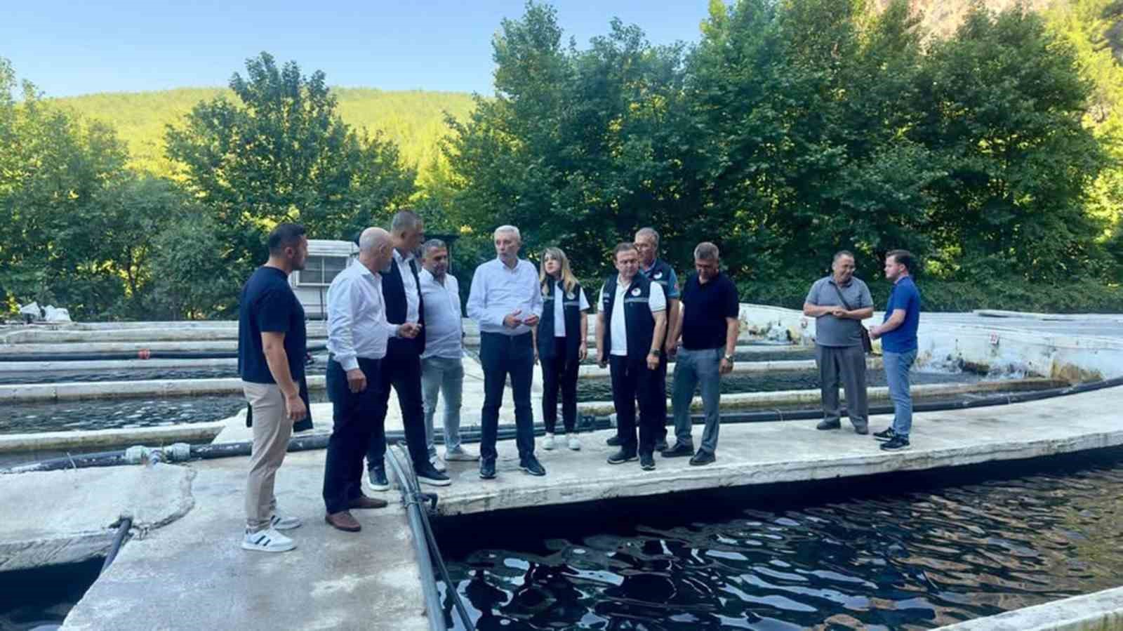 Tarım ve Orman Bakanlığı Balıkçılık