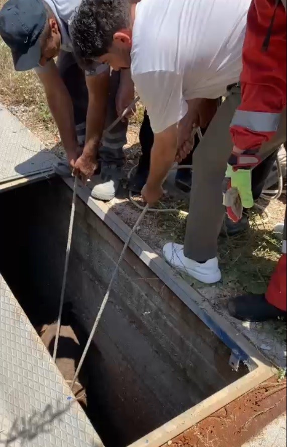 Muğla’nın Bodrum ilçesinde yaklaşık 3