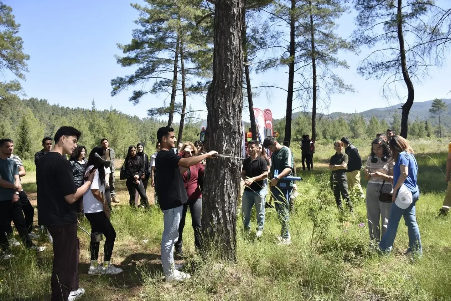 Muğla’nın Köyceğiz ilçesinde Yüksekokul Ormancılık