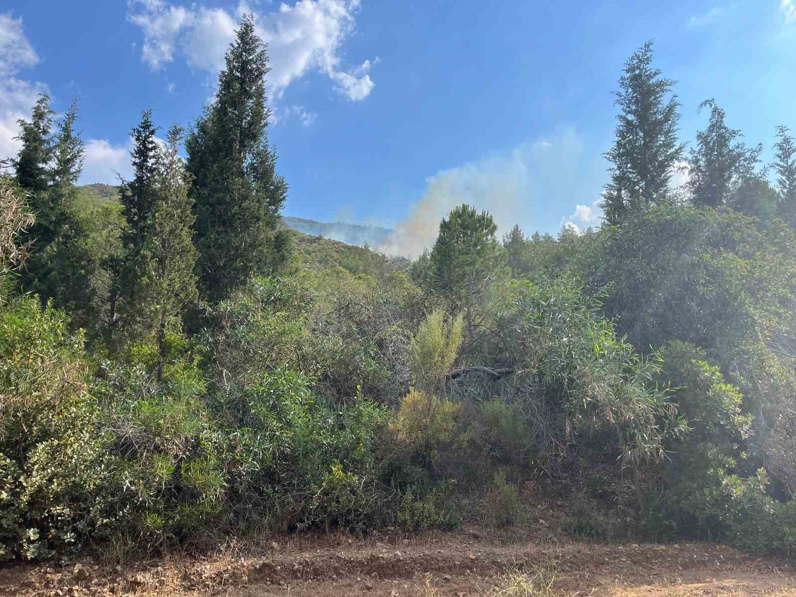 Muğla’nın Marmaris ilçesinde çıkan yıldırım