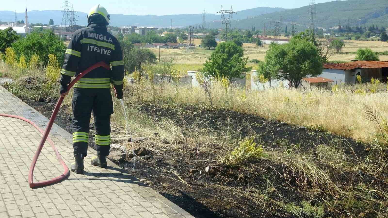 Muğla’nın Menteşe ilçesinde yol kenarına