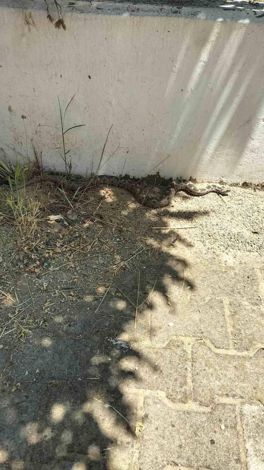 Muğla’nın Menteşe ilçesinde bir okulun