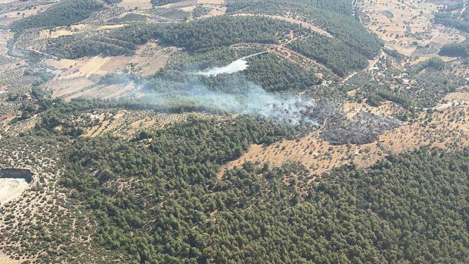 Muğla’nın Milas ilçesine bağlı Bağdamlar